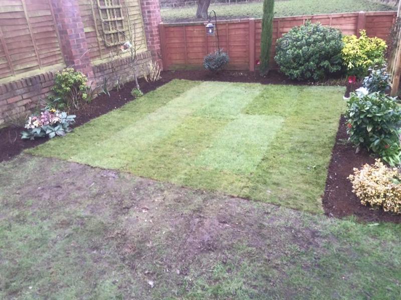 Freshly turfed lawn with planted borders